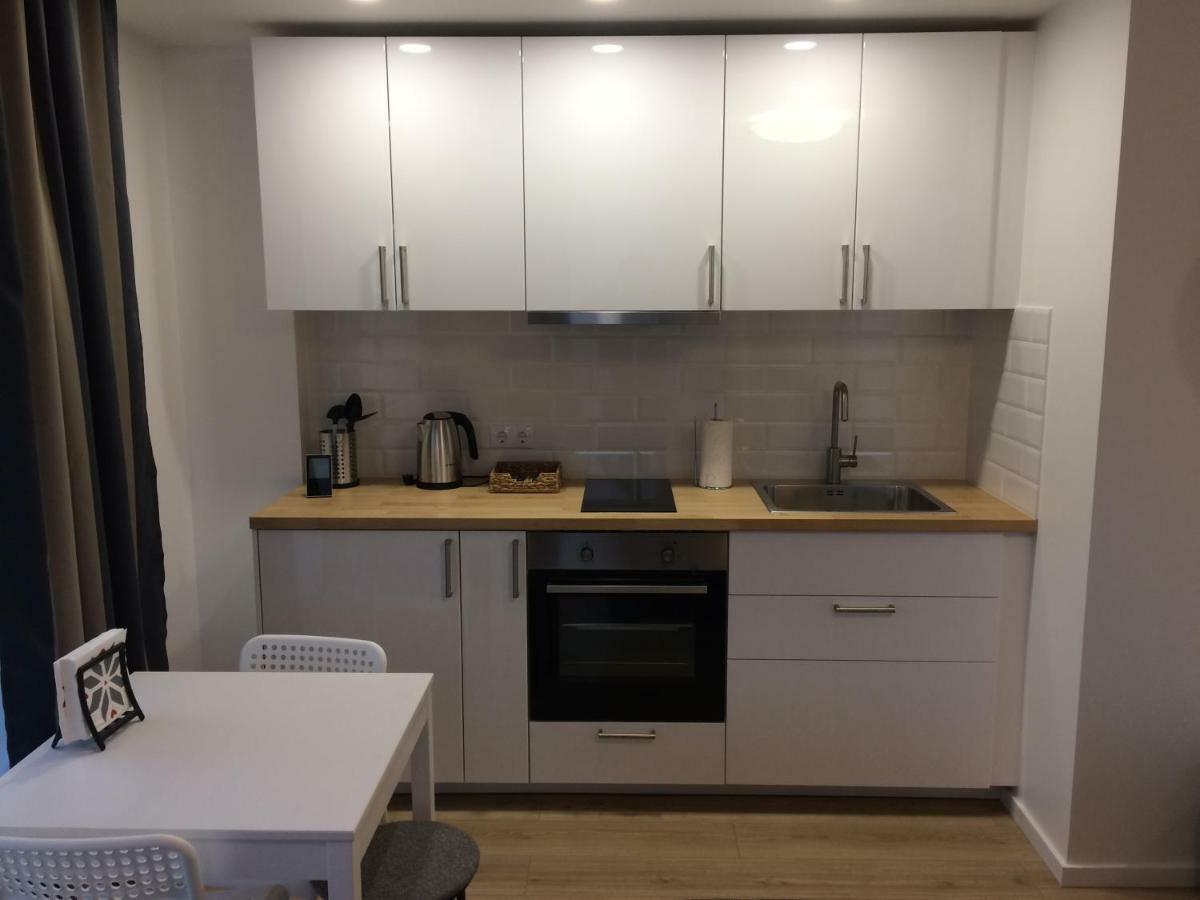 Elegant Apartment Close To The Old Town Аеропорт Вільнюс Екстер'єр фото